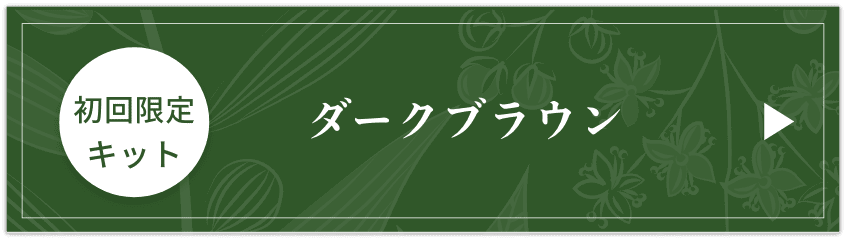 限定キット ダークブラウン