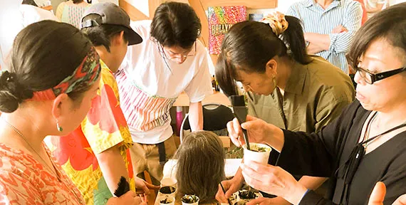 ヘナ研究会・写真